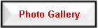 Photo Gallery